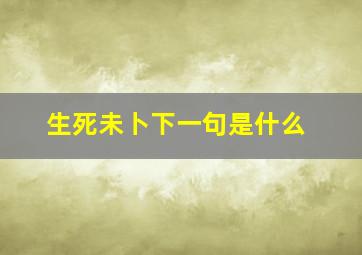 生死未卜下一句是什么