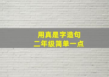 用真是字造句二年级简单一点