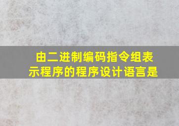 由二进制编码指令组表示程序的程序设计语言是