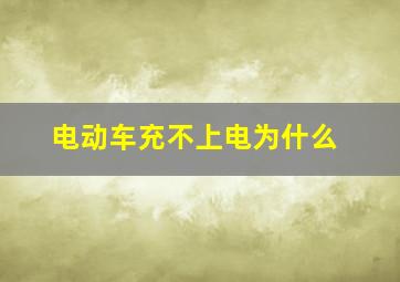 电动车充不上电为什么