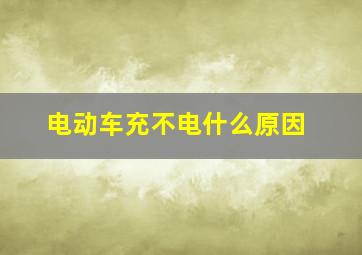 电动车充不电什么原因