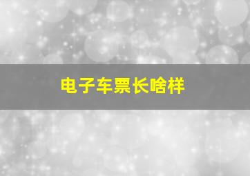 电子车票长啥样