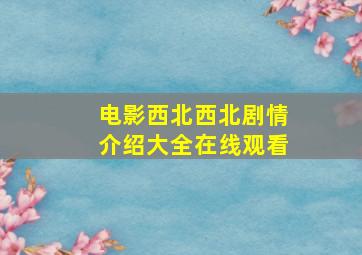 电影西北西北剧情介绍大全在线观看