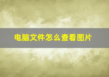 电脑文件怎么查看图片