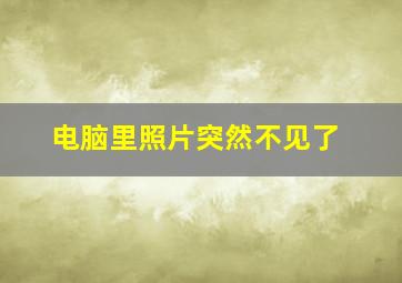 电脑里照片突然不见了