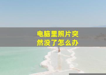 电脑里照片突然没了怎么办