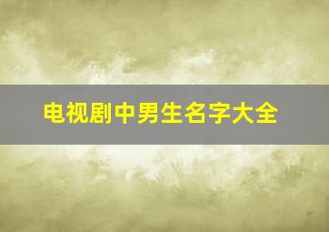 电视剧中男生名字大全