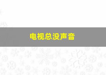 电视总没声音