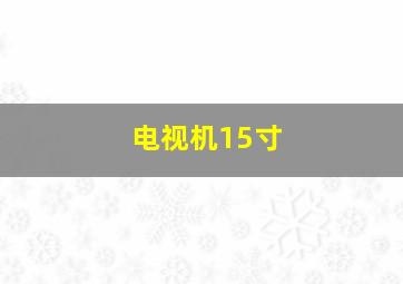 电视机15寸