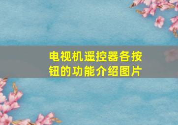 电视机遥控器各按钮的功能介绍图片