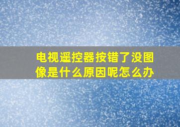 电视遥控器按错了没图像是什么原因呢怎么办