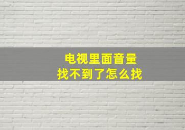 电视里面音量找不到了怎么找