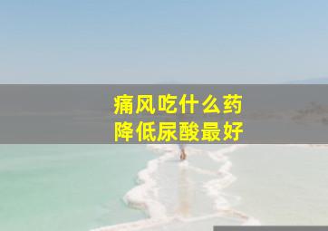 痛风吃什么药降低尿酸最好