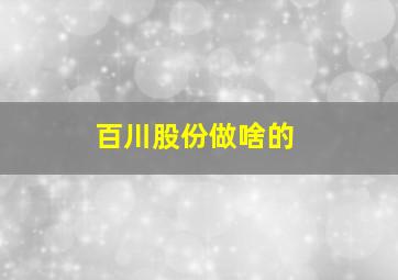 百川股份做啥的