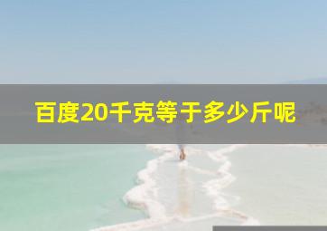 百度20千克等于多少斤呢