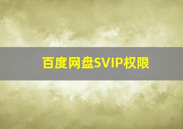 百度网盘SVIP权限