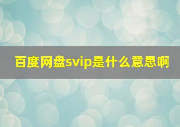 百度网盘svip是什么意思啊