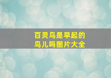 百灵鸟是早起的鸟儿吗图片大全