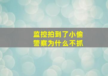 监控拍到了小偷警察为什么不抓