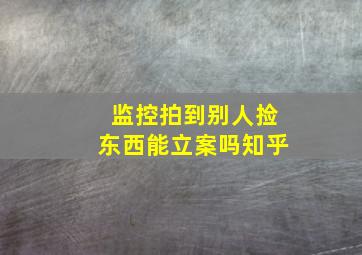 监控拍到别人捡东西能立案吗知乎