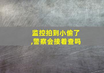 监控拍到小偷了,警察会接着查吗