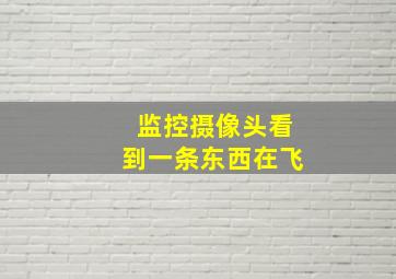 监控摄像头看到一条东西在飞