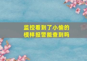 监控看到了小偷的模样报警能查到吗