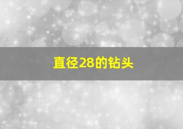 直径28的钻头