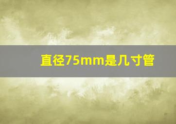 直径75mm是几寸管