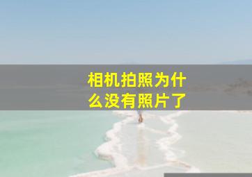 相机拍照为什么没有照片了