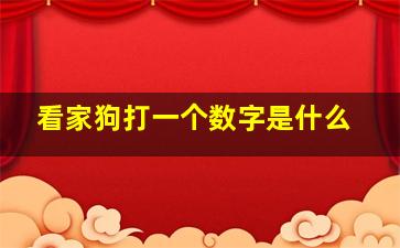 看家狗打一个数字是什么