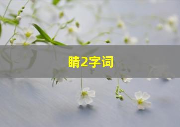 睛2字词