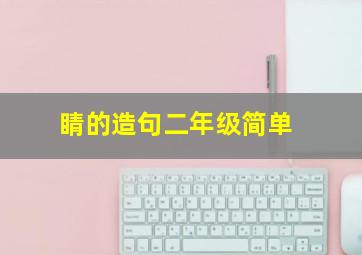 睛的造句二年级简单