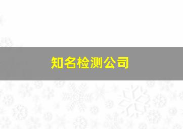 知名检测公司