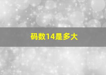 码数14是多大