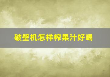 破壁机怎样榨果汁好喝