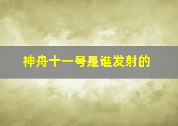 神舟十一号是谁发射的