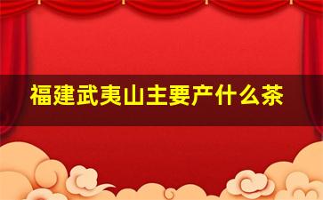 福建武夷山主要产什么茶