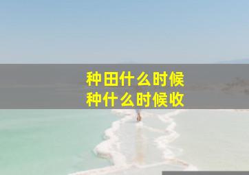 种田什么时候种什么时候收