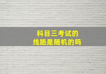 科目三考试的线路是随机的吗