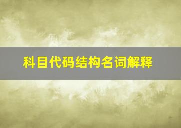 科目代码结构名词解释