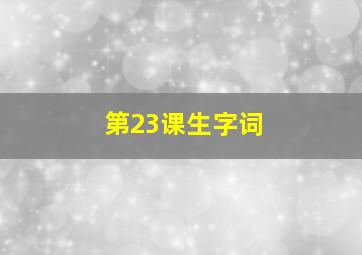 第23课生字词