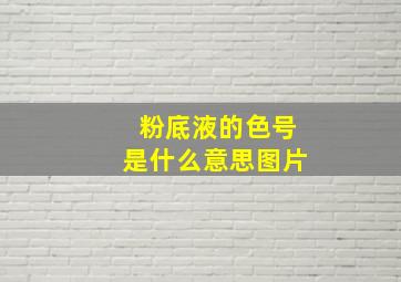 粉底液的色号是什么意思图片