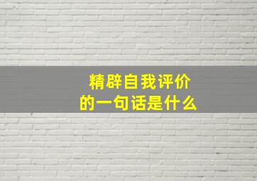 精辟自我评价的一句话是什么