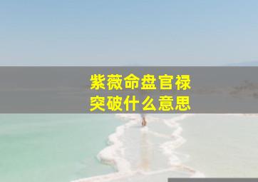 紫薇命盘官禄突破什么意思