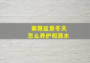 紫薇盆景冬天怎么养护和浇水