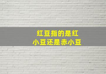 红豆指的是红小豆还是赤小豆