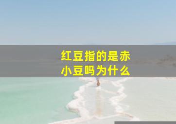 红豆指的是赤小豆吗为什么