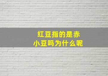 红豆指的是赤小豆吗为什么呢