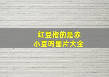 红豆指的是赤小豆吗图片大全